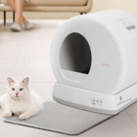 MeoWant - Image 2
