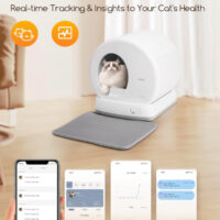 MeoWant - Image 3