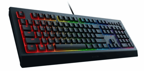 razer cynosa v2